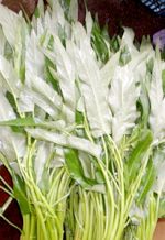 ��c��(1kg)