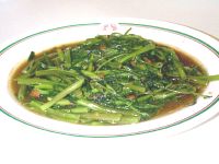 �^�C����c���u��