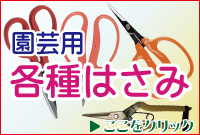�͂��ݓ��W