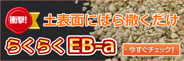 ycނ̂炭炭EB-a
