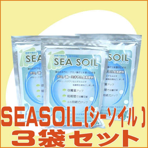 SEA SOIL�i�V�[�\�C���j