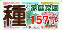 家庭菜園向けの種