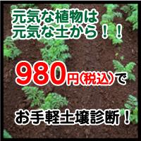�ǂ��앨���̂��߂ɓy��f�f����͂��߂܂��傤