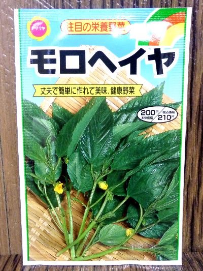 丈夫で簡単に作れて美味 健康野菜 モロヘイヤ 種子シリーズ