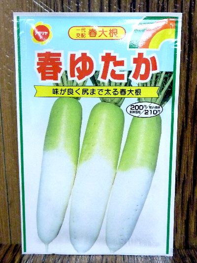 味がよく尻まで太る春大根 春ゆたか だいこん 種子シリーズ 味がよく尻まで太る春大根 春ゆたか だいこん 種子シリーズ