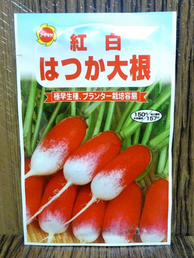 極早生種 プランター栽培容易 紅白はつか大根 種子シリーズ
