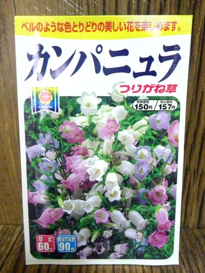 ベルのような色とりどりの美しい花を楽しめます カンパニュラ つりがね草 種子シリーズ