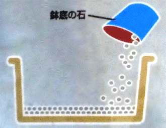 1.プランターに鉢底の石を敷きます。