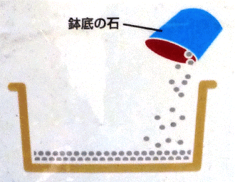 1.プランターに鉢底の石を敷きます。