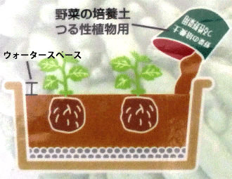 3.ウォータースペースを考え、苗を植え付けます。