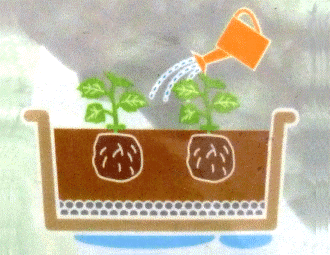 4.下から流れ出るくらいにたっぷりと水を与えてください。