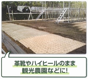 農業分野専用　養生敷板　ディバンの使用例（観光果樹園）