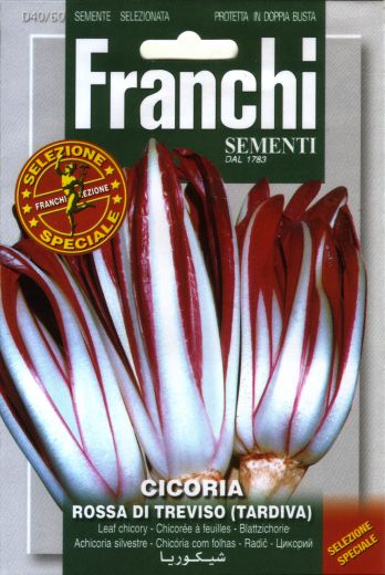 チコリ Cicoria Rossa Di Tv No 12 Franchi社の種