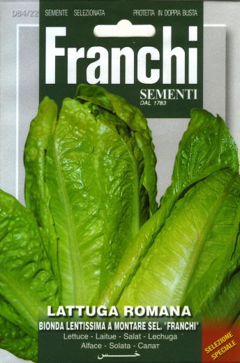 ロメインレタス Bionda Lent Mont S Franchi No 21 Franchi社の種