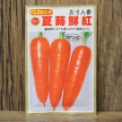 夏蒔鮮紅 五寸人参(種)
