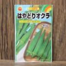 はやどりオクラ(種)