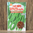 つる有り 超極早生 はやどりいんげん(種)