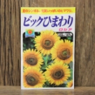 ビックひまわり ロシア(種:アタリヤ)
