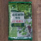 観葉植物専用 このまま使える培養土(約5リットル)