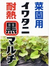 菜園用イワタニ耐熱黒マルチ　0.02ｘ95ｘ50