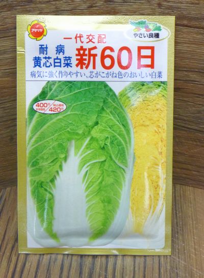 病気に強く作りやすい 芯がこがね色のおいしい白菜 新60日 耐病黄芯白菜 種子シリーズ