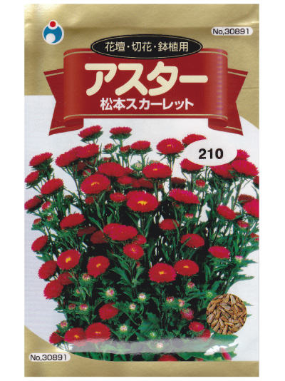 花壇 切花 鉢植用 アスター 松本スカーレット 種子シリーズ