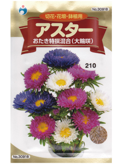 切花 花壇 鉢植用 アスター おたき特撰混合 大輪咲 種子シリーズ