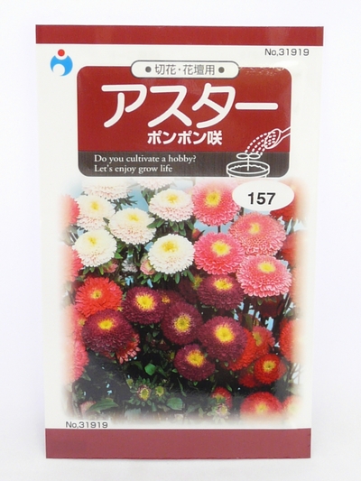 切花 花壇用 アスター ポンポン咲 種子シリーズ