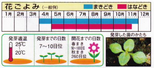 栽培カレンダー（例）