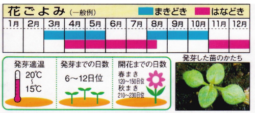 栽培カレンダー（例）