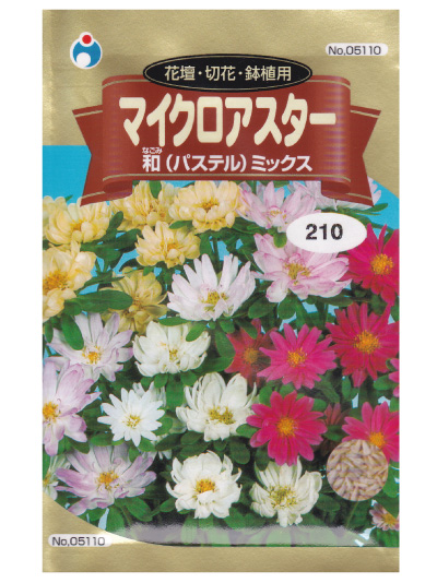 花壇 切花 鉢植用 マイクロアスター 和 パステル ミックス 種子シリーズ