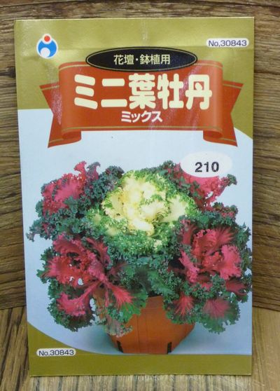 花壇 鉢植用 ミニ葉牡丹 ミックス 種子シリーズ