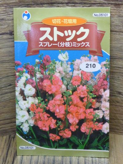 切花 花壇用 ストック スプレー 分枝 ミックス 種子シリーズ