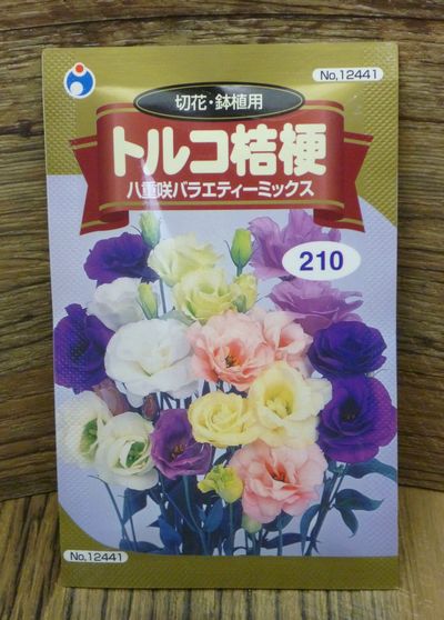 切花 鉢植用 トルコ桔梗 八重咲バラエティーミックス 種子シリーズ